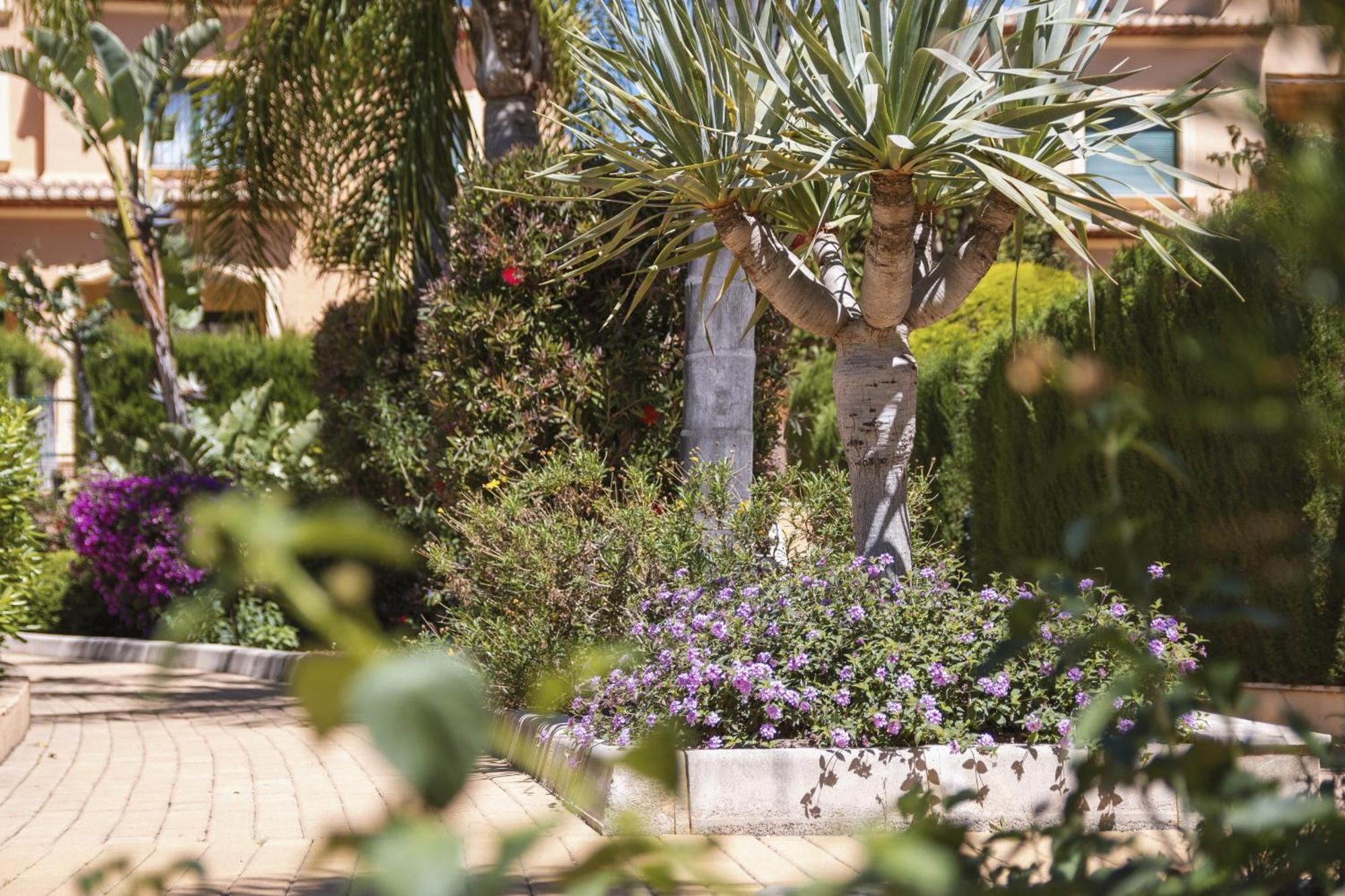 דירות Jávea Floridamar מראה חיצוני תמונה