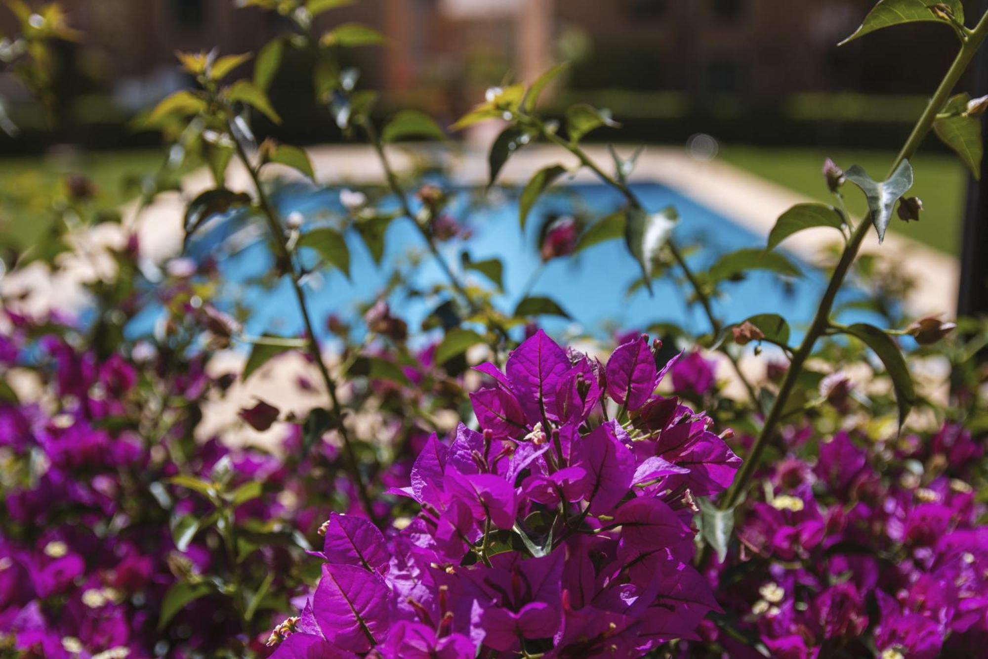 דירות Jávea Floridamar מראה חיצוני תמונה